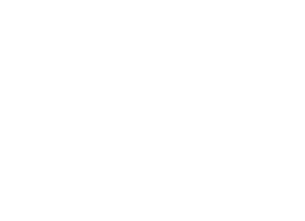 IFF Logo